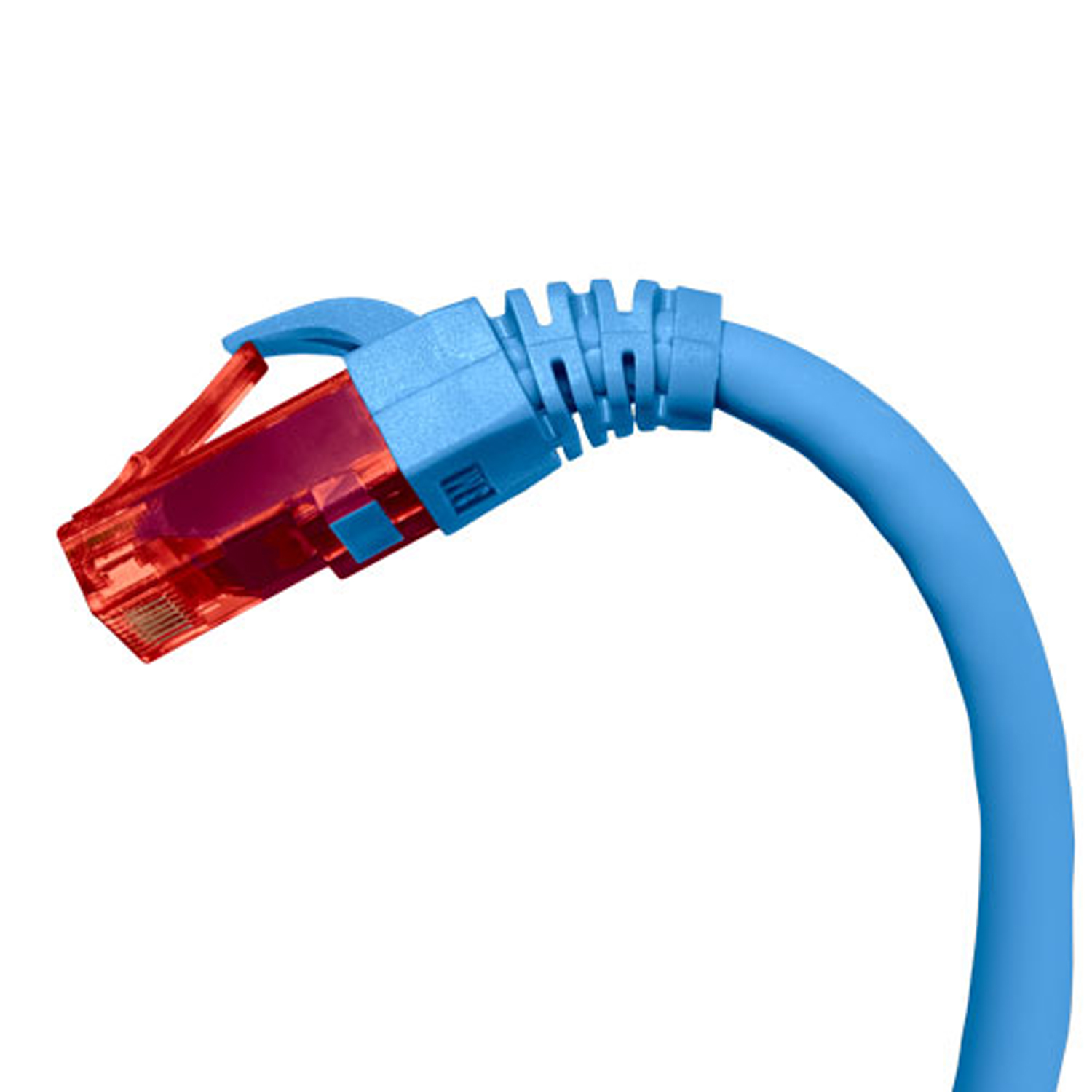 6 UTP Blue 2